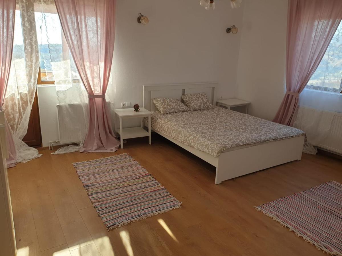 Hotel Casuta De La Munte Sfodea Zewnętrze zdjęcie