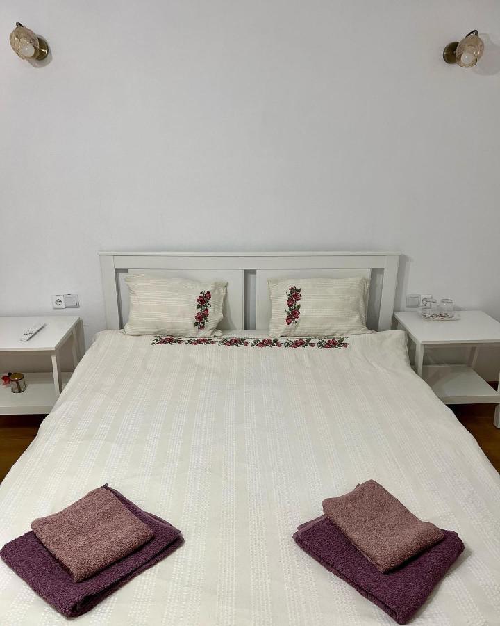 Hotel Casuta De La Munte Sfodea Zewnętrze zdjęcie
